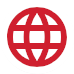 Our Website icon